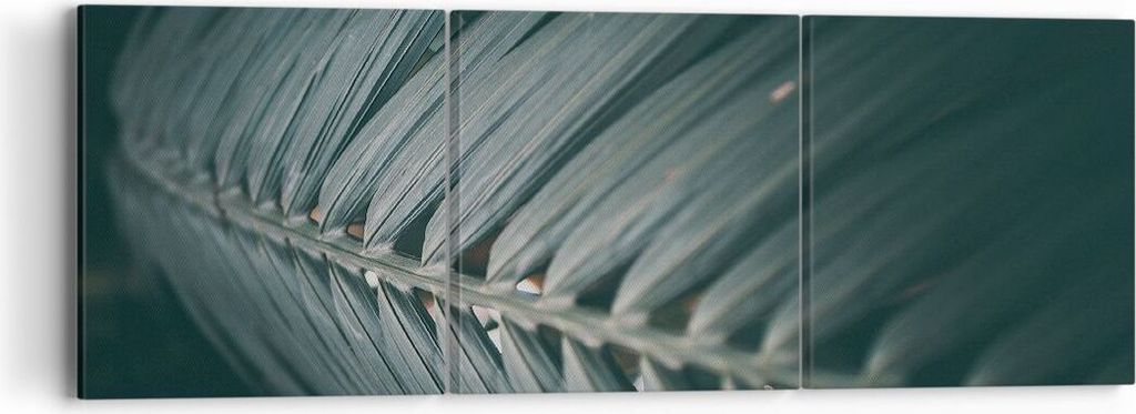 Bild auf Leinwand - Leinwandbild - 3 Teile - Blatt Palme exotisch - 90x30cm - Wand Bild - Wanddeko - Wandbilder - Leinwanddruck - Bilder - Wanddeko...