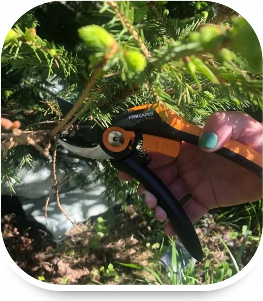 Offerta Fiskars P361 Solid - Forbici Potatura Professionali L - 6