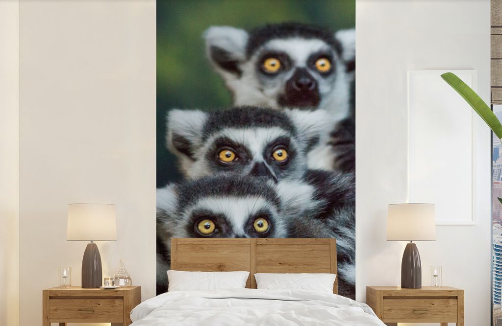 MuchoWow Fototapete für Wohnzimmer oder Schlafzimmer Wandtapete Vinyl Motivtapete Affen - Tiere - Ringelschwanzlemuren - 120x240 cm - Hintergrun...