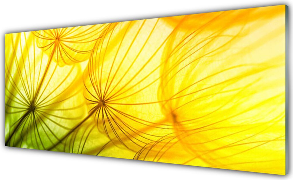 Küchenrückwand aus Glas 125x50cm Spritzschutz Pusteblume Pflanzen