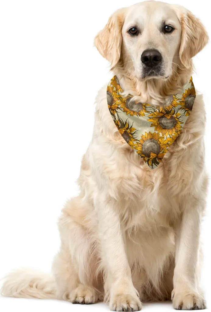 Bandana Cane Girasole ABAKUHAUS 55x55 cm - Accessorio Vintage Multicolor