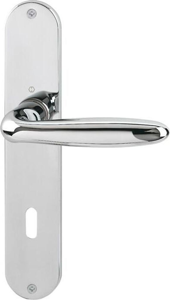 A single door handle set on a white background.