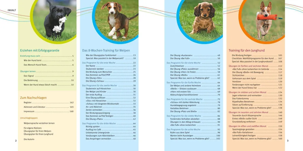 Guide Éducation Chiot : Méthode Complète Welpen-Erziehung pour Débutant