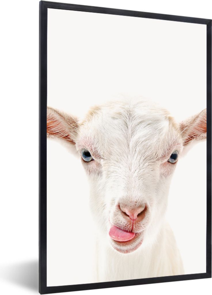 MuchoWow Gerahmtes Poster Ziege - Porträt - Junge - Mädchen - Kinder - Weiß 60x90 cm - Poster mit Schwarzem Bilderrahmen Wandposter Rahmen Fot...