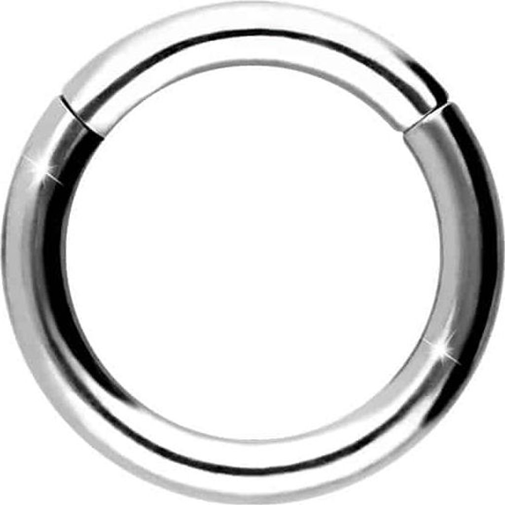 Ohrpiercing, Nasenpiercing, Septum Piercing Titan Segmentring Clicker WeißGold Innendurchmesser: 8mm + Stabstärke: 1,6mm
