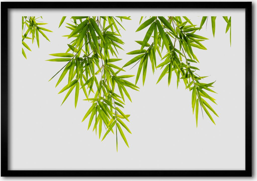 Bild - Bilderrahmen - 100 cm x 70 cm - MDF - Rahmen - Foto - Wandkunst Bambusblätter
