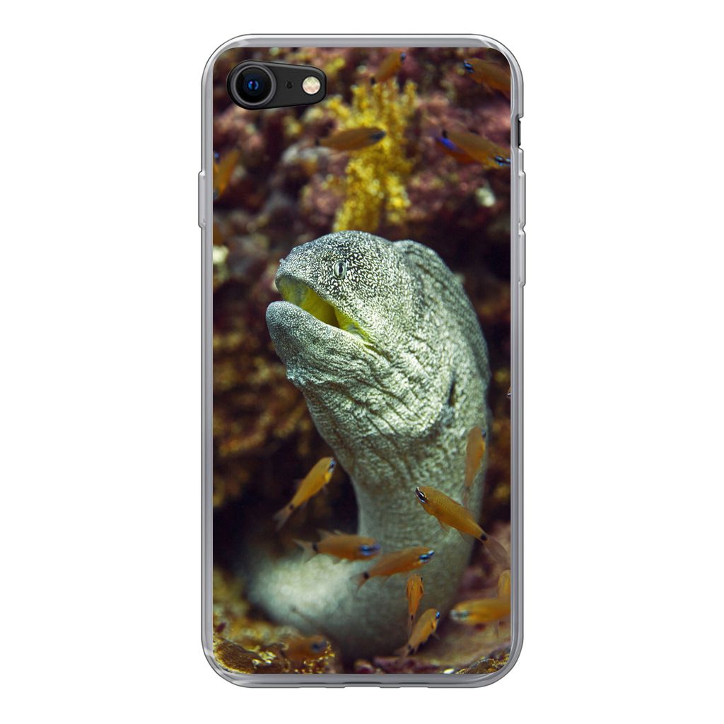 MuchoWow Handyhülle Schutzhülle Hülle für iPhone 7 Fische - Korallen - Ozean Silikon Softcase Handy Hülle - Kartenhalter