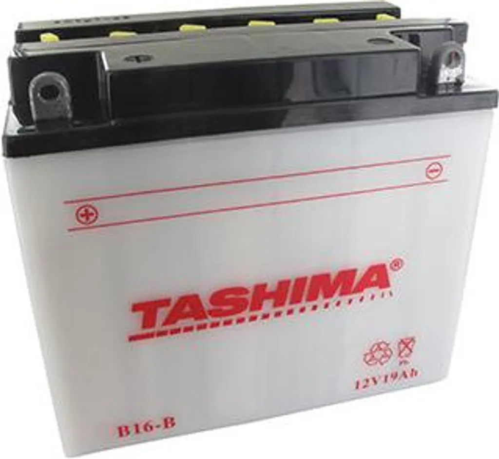 Batterie de Démarrage 12V 19Ah pour Tracteur Tondeuse et Moto Marine