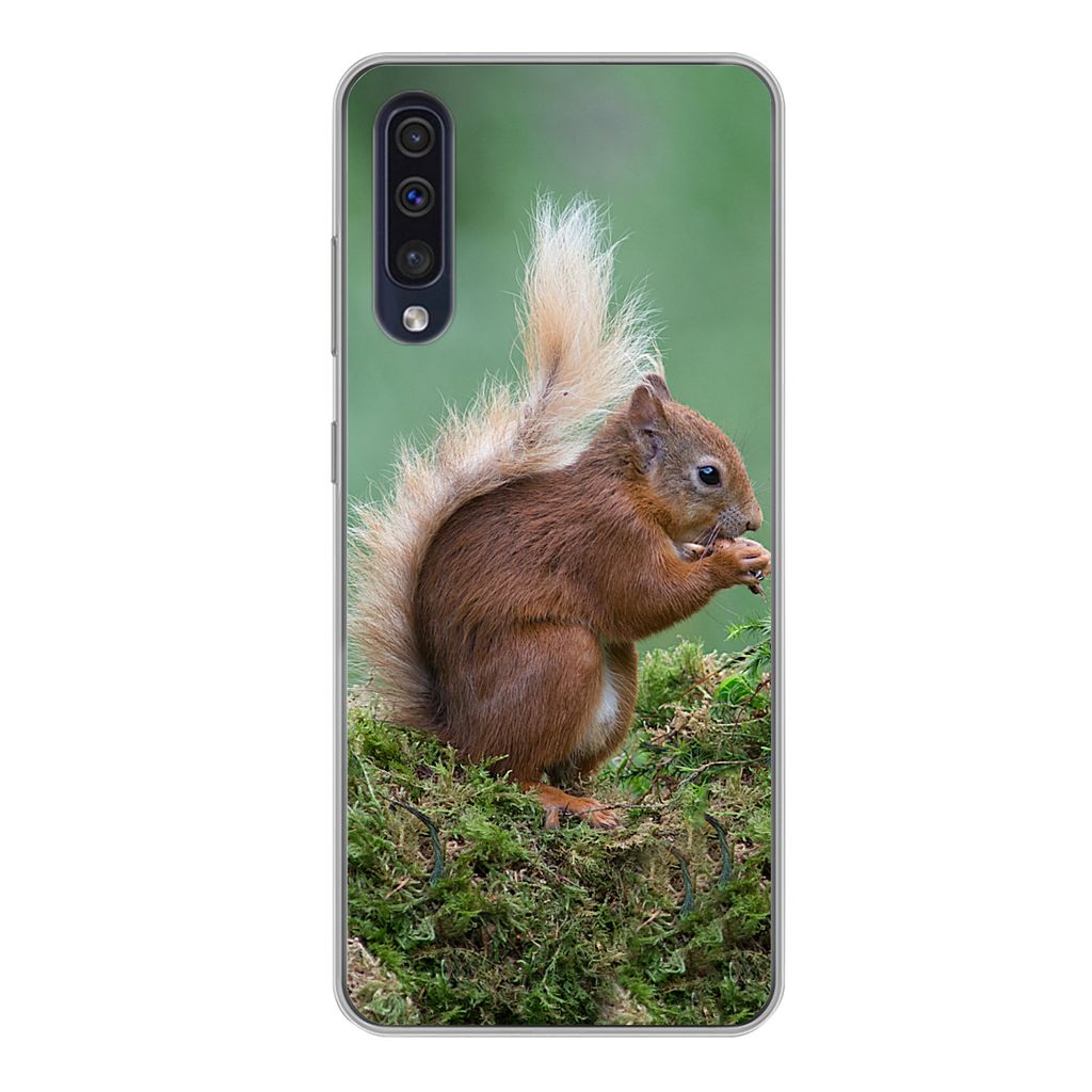 MuchoWow Handyhülle Schutzhülle Hülle für Samsung Galaxy A50 Waldtier - Eichhörnchen - Moos Silikon Softcase Handy Hülle - Mobiltelefonhülle