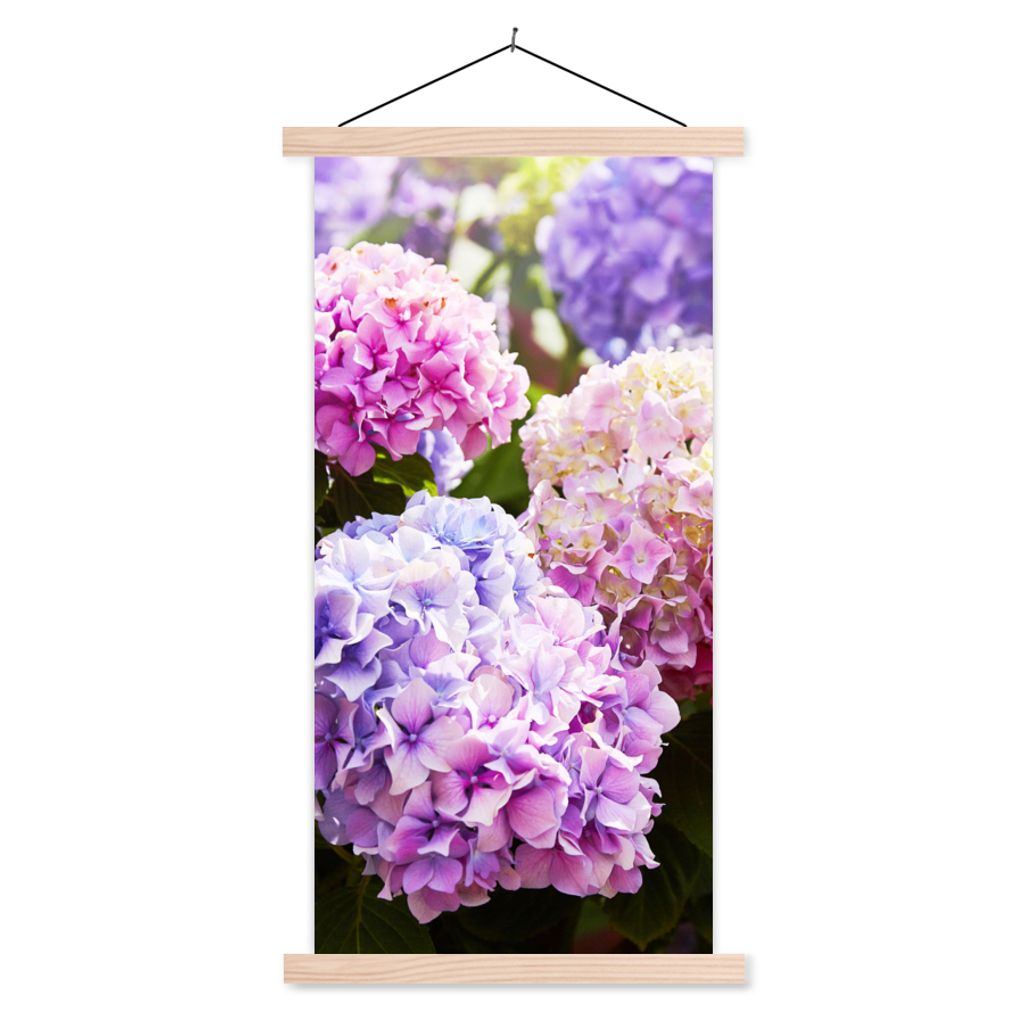 MuchoWow Textilposter Blumen - Hortensie - Rosa - Blätter - Sonne 60x120 cm mit holzfarbenen Rahmen - Holz
