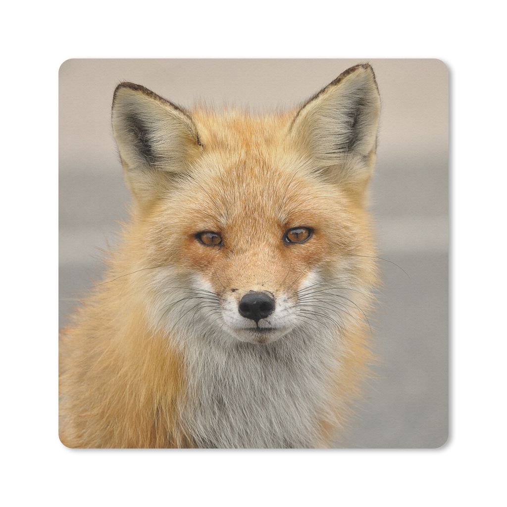 MuchoWow Mauspad Mousepad Fuchs - Makro - Rot 20x20 cm - Mousepads - Maus Mat - Pad - Mausunterlage - Desk Mat - Bureauartikeln