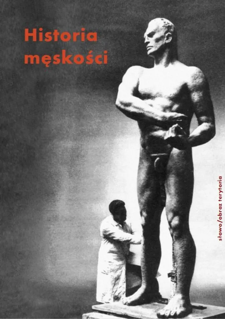 Livre de sociologie sur la masculinité en crise Tome 3 en polonais