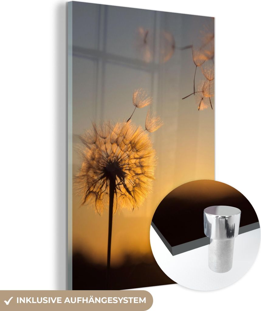 MuchoWow Glasbilder - Bilder auf Wandbild - Foto auf Glas Löwenzahn - Sonne - Sonnenuntergang 40x60 cm Wanddekoration aus Glas - Acrylglasbild - A...
