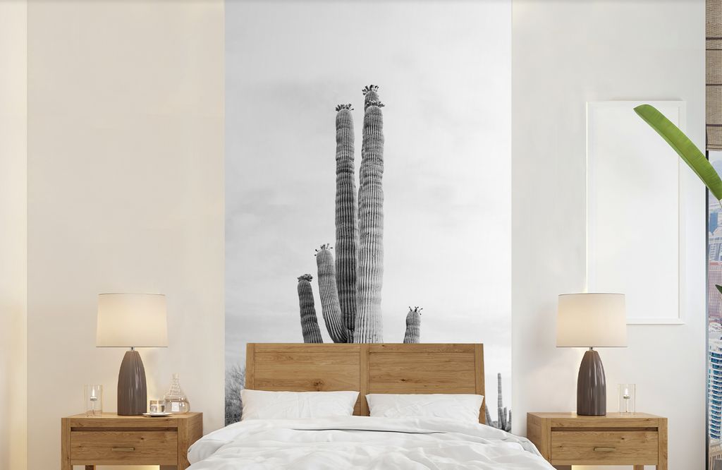 MuchoWow Fototapete für Wohnzimmer oder Schlafzimmer Wandtapete Vinyl Motivtapete Kaktus - Schwarz und weiß - Natur - Pflanzen - 120x240 cm - H...