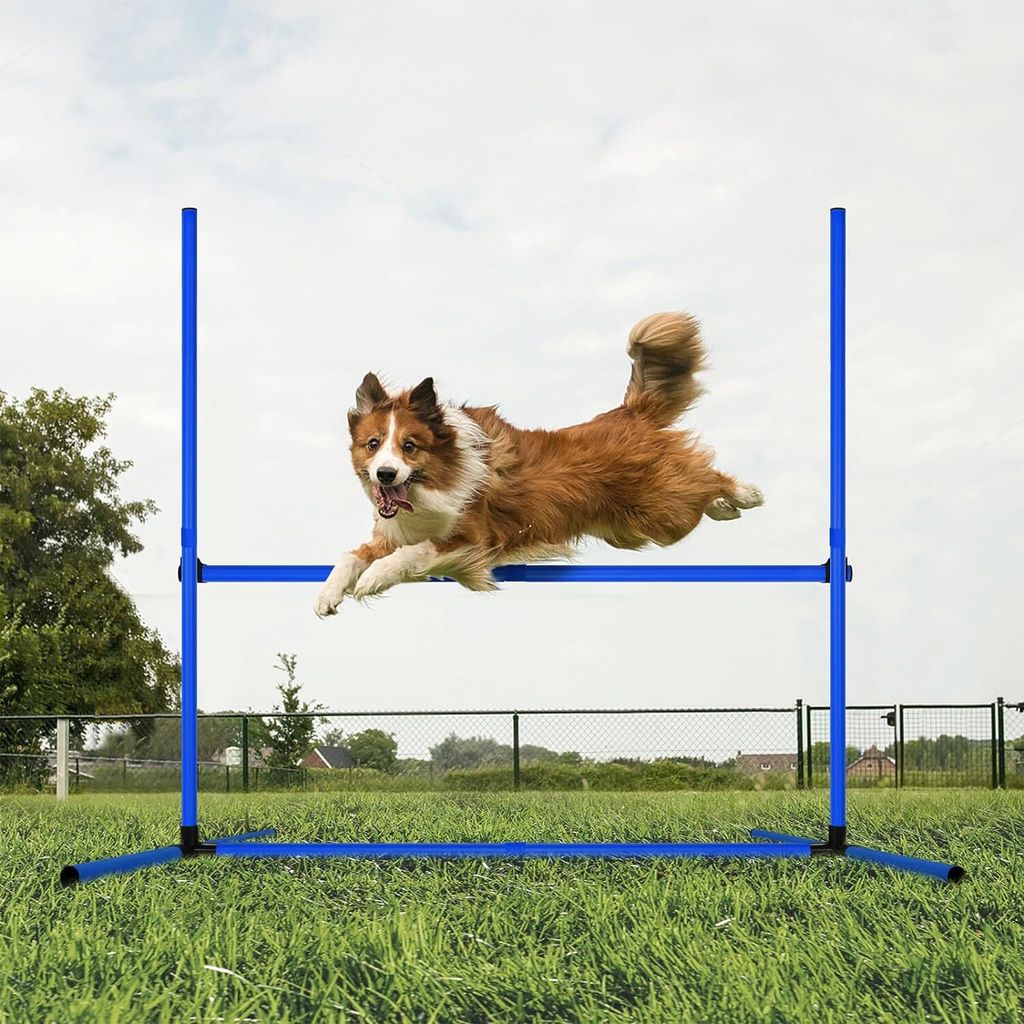 NAIZY Agility Set Hunde Ausrüstungs 4 x Hürden Höhenverstellbar, Agility Hürdenset Slalomstangen mit Tragetasche, Haustier Agility Trainingsger...