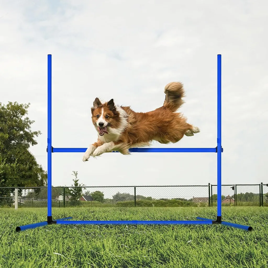 NAIZY Set Agility Chien 4 Haies Réglables avec Piquets Slalom et Sac