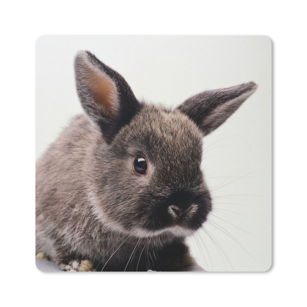 MuchoWow Mauspad Mousepad Kaninchen - Haustier - Porträt 20x20 cm - Mousepads - Maus Mat - Pad - Mausunterlage - Desk Mat - Bureauartikeln