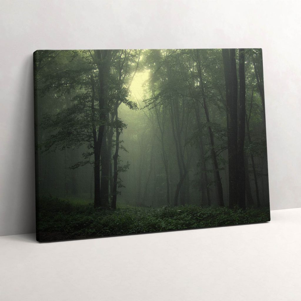 Nebliger Wald am Morgen – Leinwandbild Wandbild – 80x60 cm – Leinwandbilder – Wandbilder – Schlafzimmer – Flur
