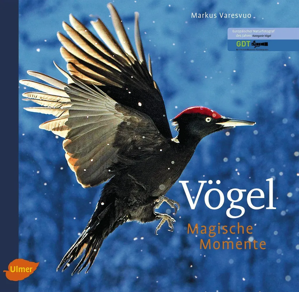 Décoration et Passion : Livre Oiseaux - Moments Magiques pour Salon