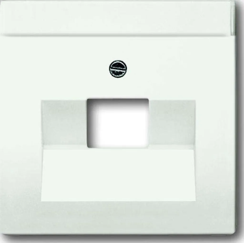 Busch-Jaeger Zentralplatte UAE/IAE 1f future linear blanc mat 1803-02-884