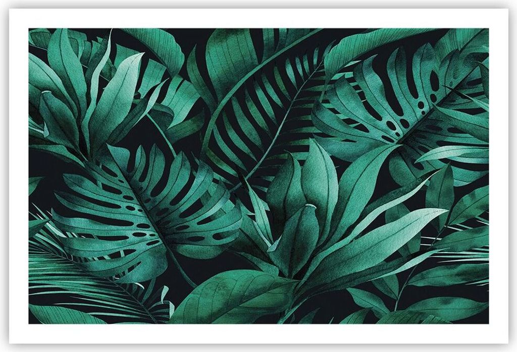 Poster - Poster ohne Rahmen - Blätter Grafiken Monstera - 91,5x61 cm - Wand Bild - Wanddeko - Wandbilder - Kunstposter - Wandposter - Bilder - Kun...