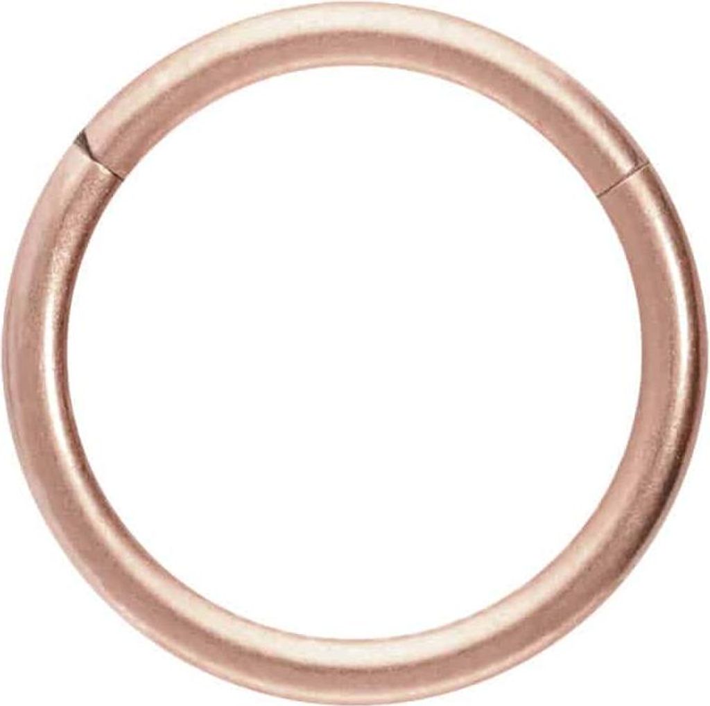 Ohrpiercing, Nasenpiercing, Septum Piercing Titan Segmentring Clicker MATT RoséGold Innendurchmesser: 9mm + Stabstärke: 1mm