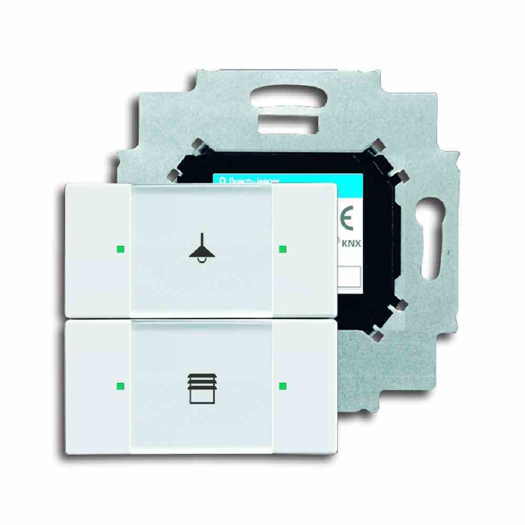 BUSCH-JAEGER Tastsensor KNX PowN UP std-ws glz 2f 2pkt