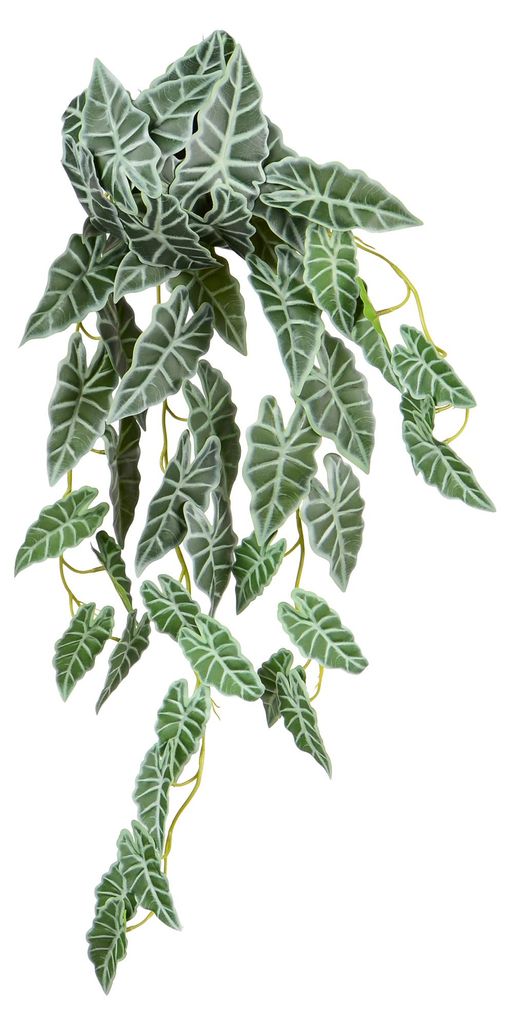 Kunstpflanze Alocasia hängend 70 cm als 2er Set