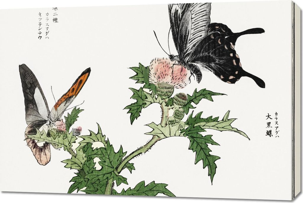Bild 90x60cm Schmetterlinge und Blumen Illustration Morimoto Toko Japanisch Vintage