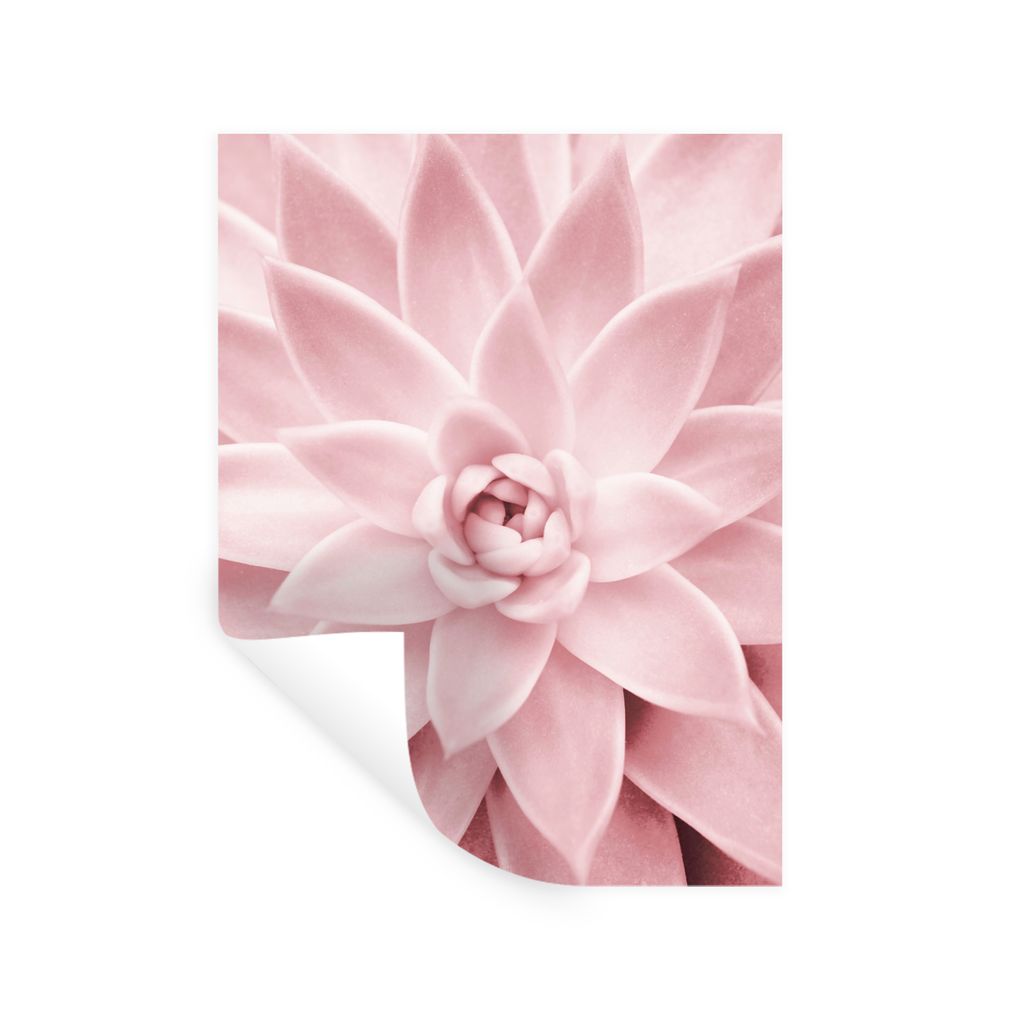 MuchoWow Wandtattoo Wandsticker Wandaufkleber Blume - Rosa - Natur - Pflanze 60x80 cm Selbstklebend und Repositionierbar - Repositionierbar - Was...