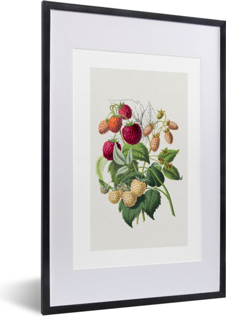 MuchoWow® Gerahmtes Poster Himbeeren - Obst - Lebensmittel Produktbild 