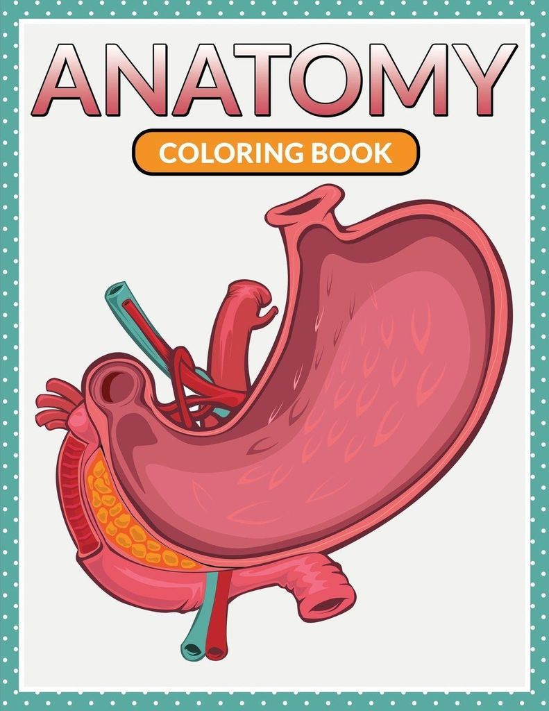 Anatomy Coloring Book