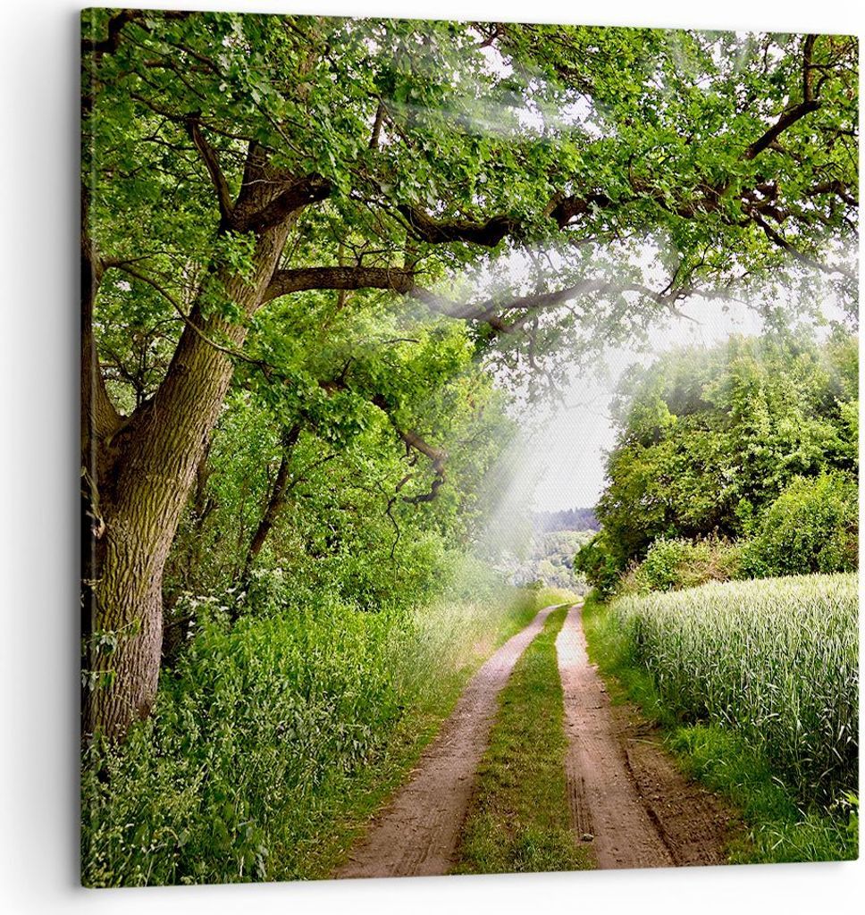 Bild auf Leinwand - Leinwandbild - Pfad Natur Wald Grün - Produktbild 
