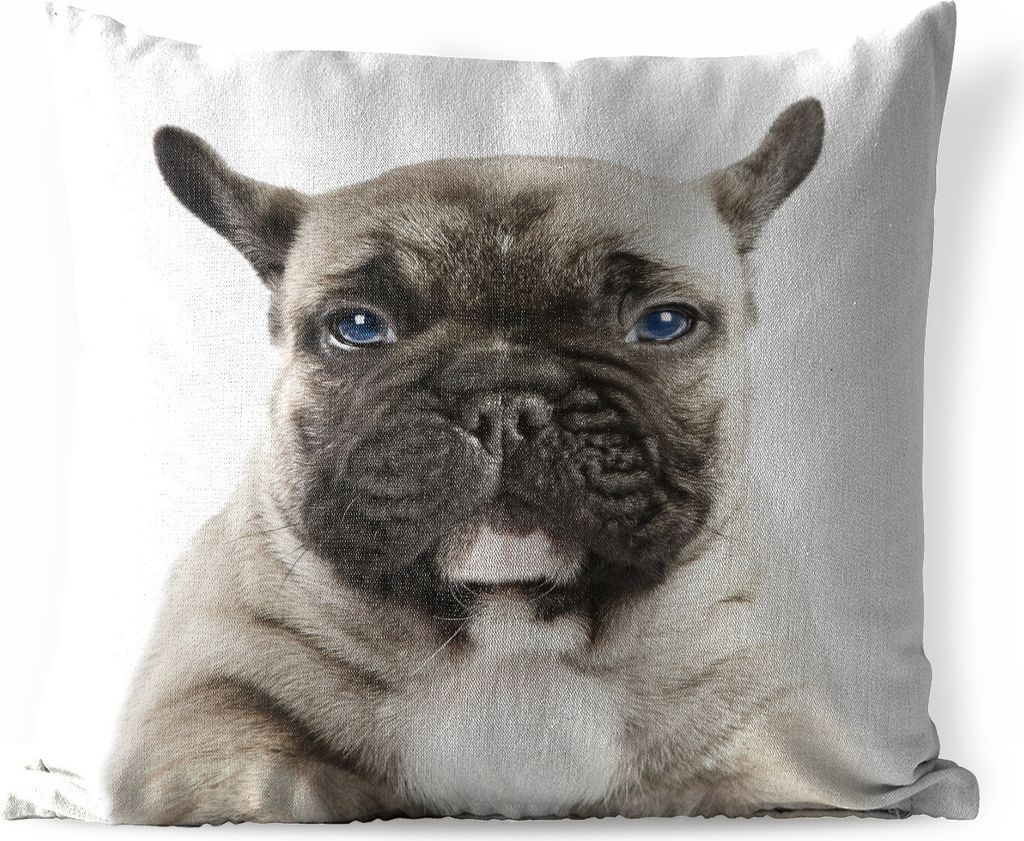 MuchoWow Outdoor Kissen - Porträt eines französischen Bulldoggenwelpen - 50x50 cm - Wetterfest - Lounge Kissen - Komfortabel - Kissen mit Bild