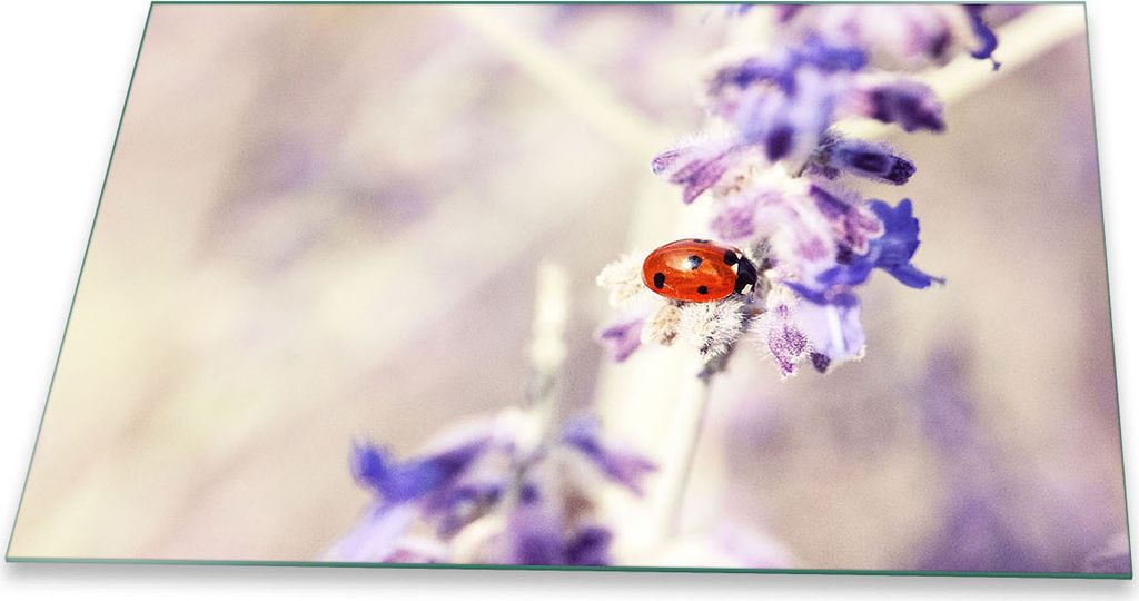 Herdabdeckplatte Glaskeramik 1 Teilig 80x52 Natur Violett Abdeckung Glas Spritzschutz