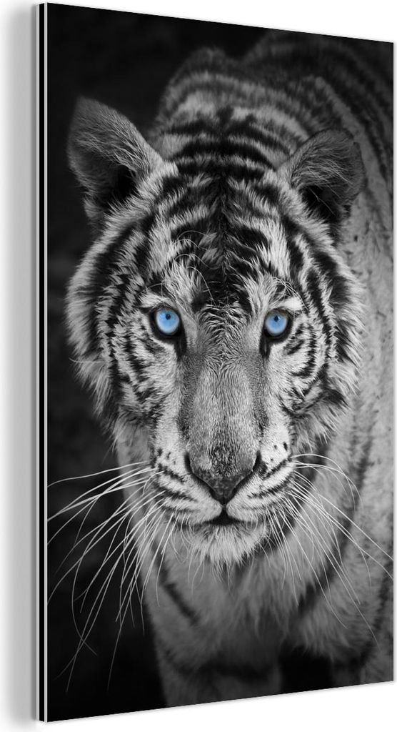 MuchoWow Wanddekoration Metall Metallbild Wandkunst 40x60 cm Tiger - Tier - Schwarz - Blau - Modern MuchoWow Aluminium Gemälde - Wanddekoration au...