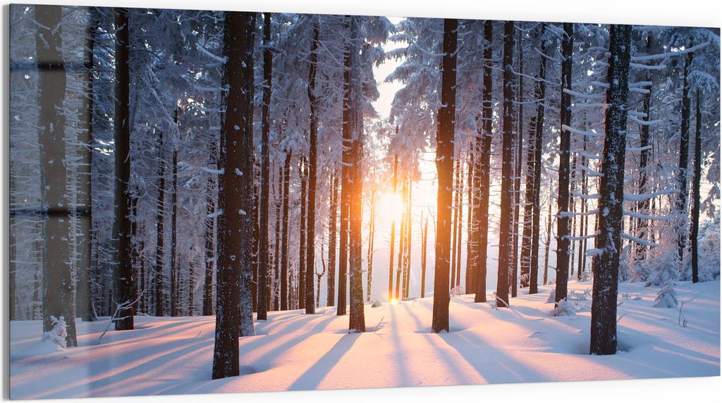DEQORI Glasbild Echtglas 100x50 cm 'Abendsonne im Winterwald' Wandbild Bild modern Deko