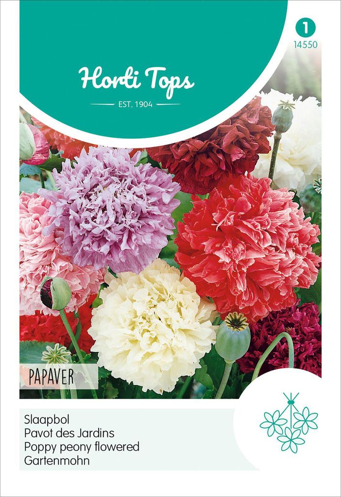 Gartenmohn Gefüllte Mischung | Mohnsamen von Hortitops Produktbild 