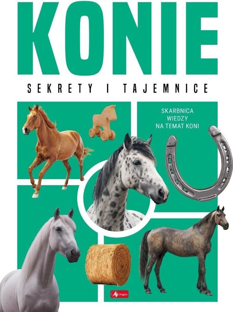 Konie - Anna Willman (Buch auf Polnisch)