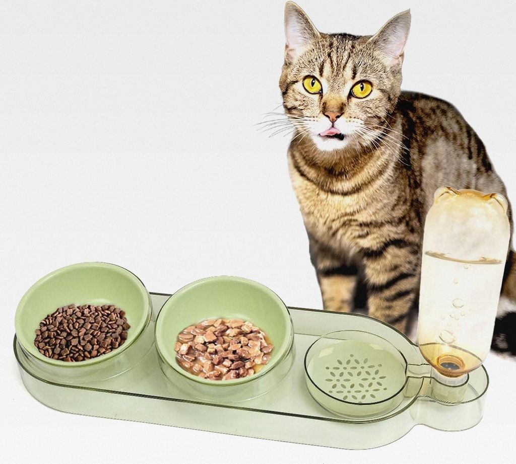 Katzen Futternapf Dinner Station, Futterbar mit 2 Näpfen und Wasserspender für Katzen und kleine Hunde, Fressnapf Set mit Trinkbrunnen, grün