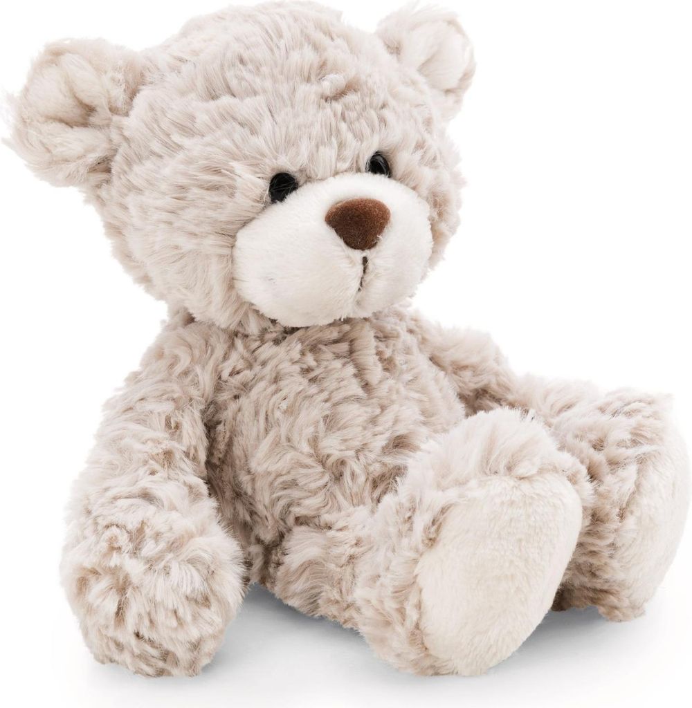 A studio shot of a teddy bear.