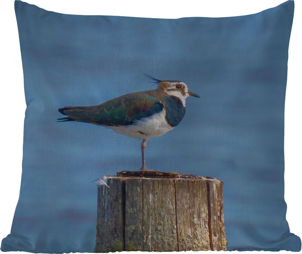 MuchoWow Outdoor Kissen - Vogel - Tiere - Pfahl - Blau - Kiebitz - 60x60 cm - Wetterfest - Lounge Kissen - Dekoration - Schlaf Kissen