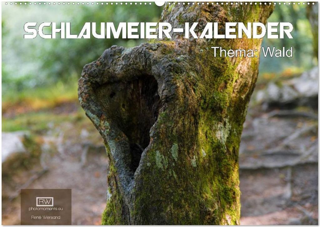 Schlaumeier-Kalender - Thema: Wald (Wandkalender 2026 DIN A2 quer), CALVENDO Monatskalender