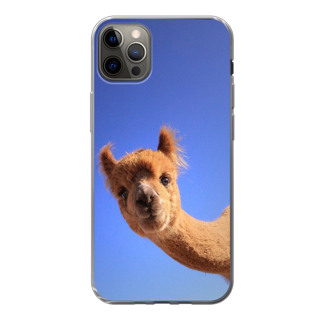 MuchoWow Handyhülle Schutzhülle Hülle für iPhone 13 Pro Max Alpaka - Braun - Blau Silikon Softcase Handy Hülle - Mobiltelefon