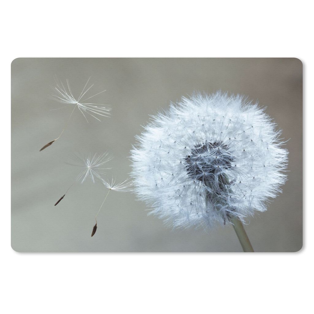 MuchoWow® Schreibtischunterlage Löwenzahn - Blume - Pflanze Produktbild 