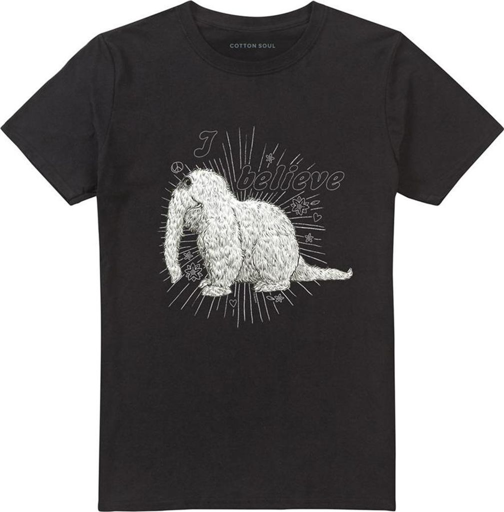 Sesame Street - "I Believe" T-Shirt für Herren/Damen Uni TV21497 (5XL) (Schwarz)