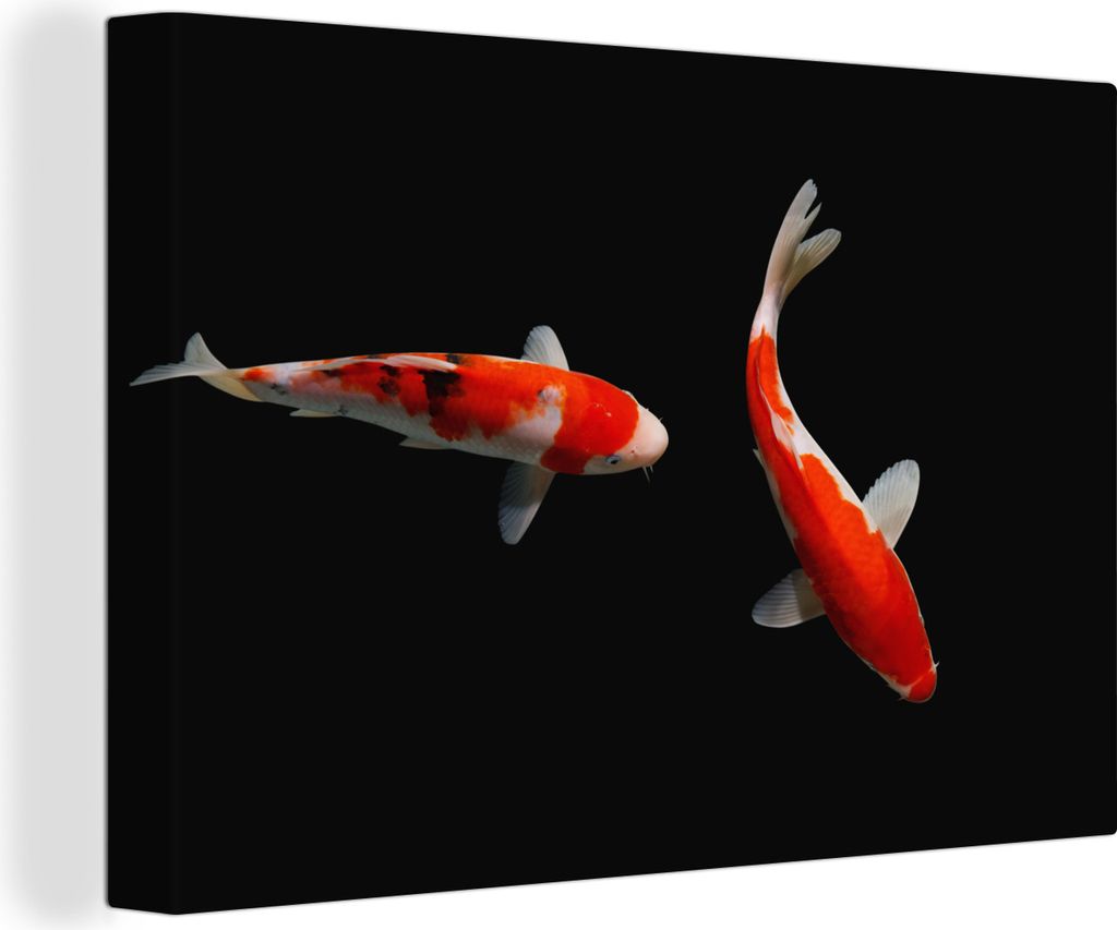 OneMillionCanvasses - Leinwandbilder - 140x90 cm, Zwei bunte Koi-Karpfen auf schwarzem Hintergrund, Wandbilder Kunstdruck Wanddekoration - Foto a...