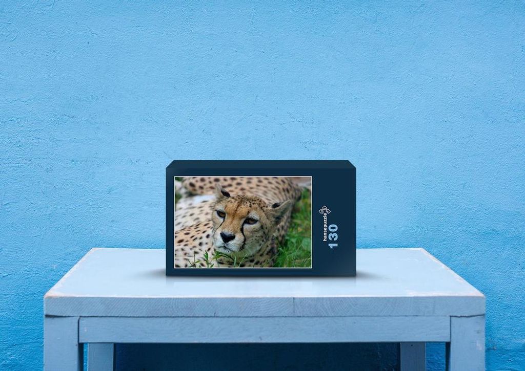 hansepuzzle 83563 - Gepard Puzzle, 130 Teile, Tierwelt, 28,7 x 20,0cm mit hochwertiger Aufbewahrung, Kartonbox und wiederverschließbarem Beutel