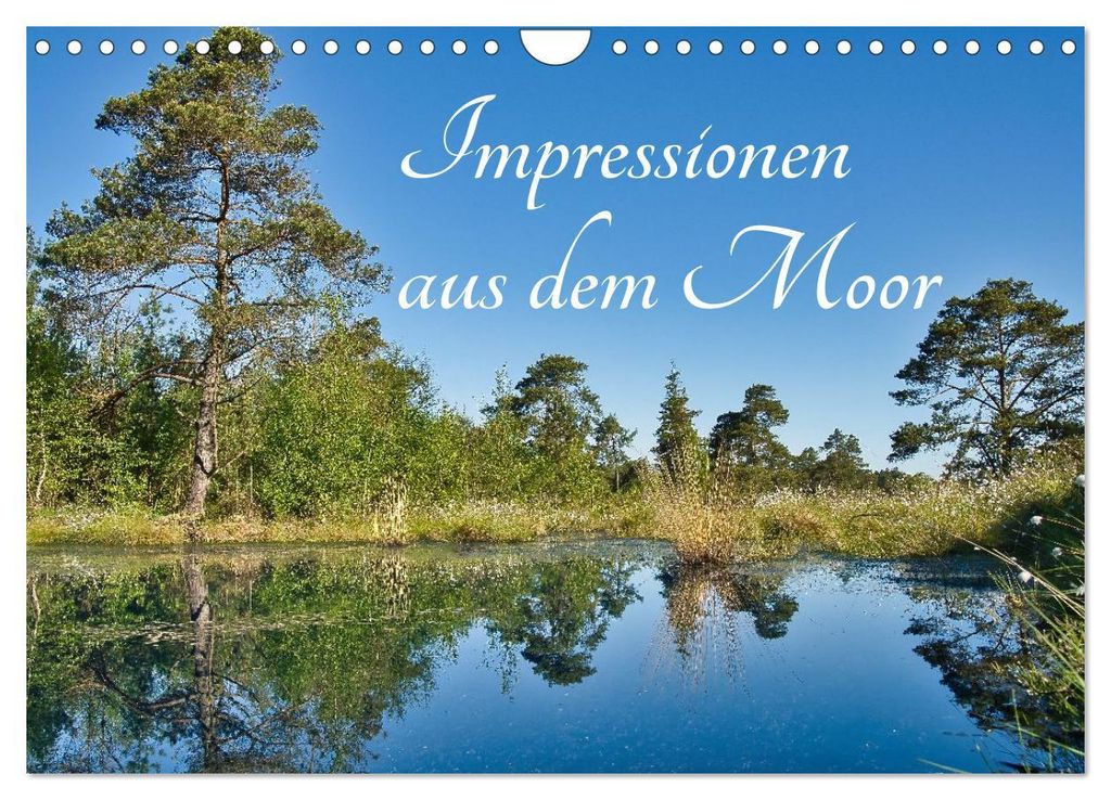 Impressionen aus dem Moor (Wandkalender 2027 DIN A4 quer), CALVENDO Monatskalender