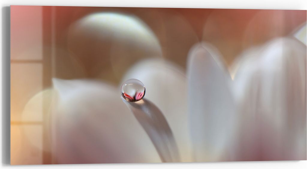 DEQORI Glasbild Echtglas 60x30 cm 'Tropfen der Stille' Wandbild Bild modern Deko